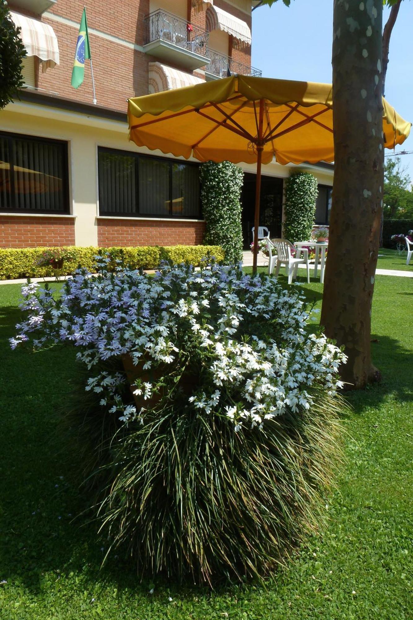 Hotel Versilia Camaiore Bagian luar foto
