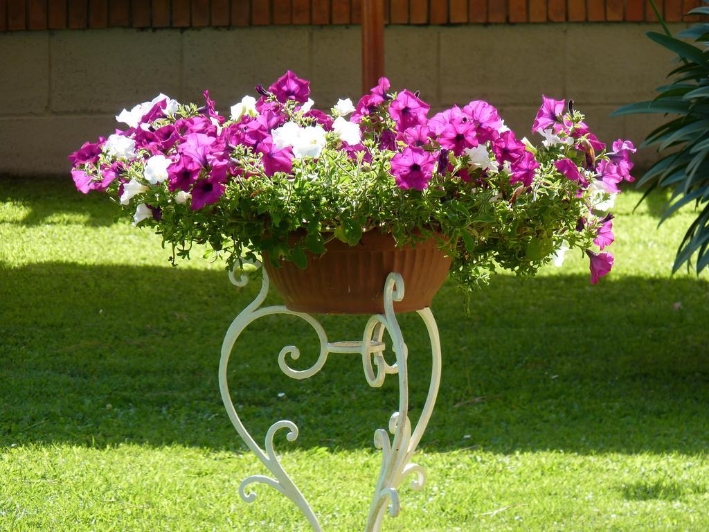 Hotel Versilia Camaiore Bagian luar foto
